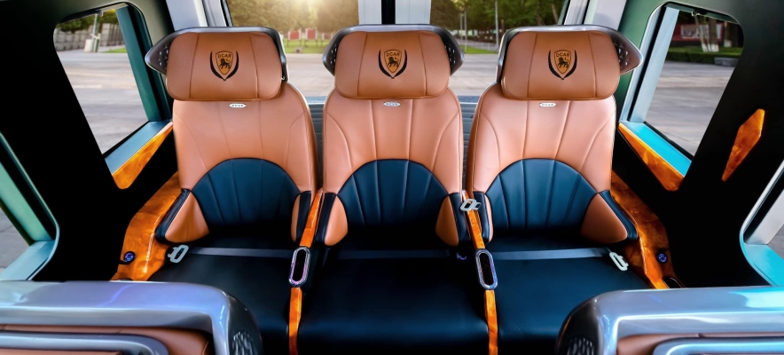 Luxury Limousine  9 Seats